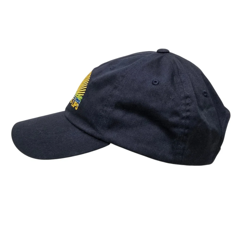 The Flaming Lips Hat Mens Navy Blue Sunburst Embroidered Band Merch Cap Rare